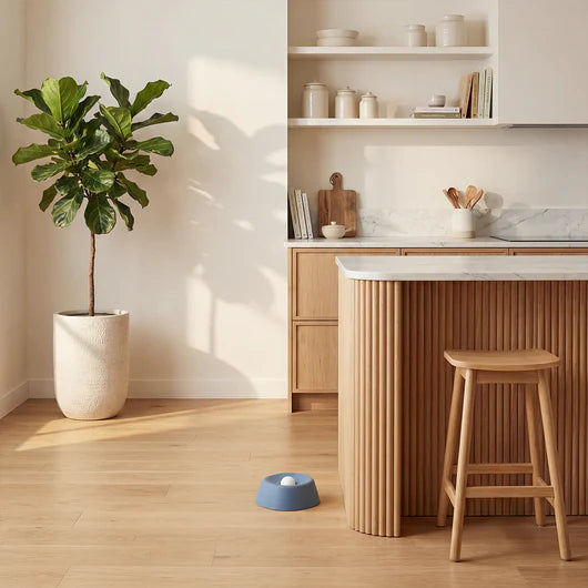 The DogWell 3-in-1 Lick & Slow Feeder Bowl