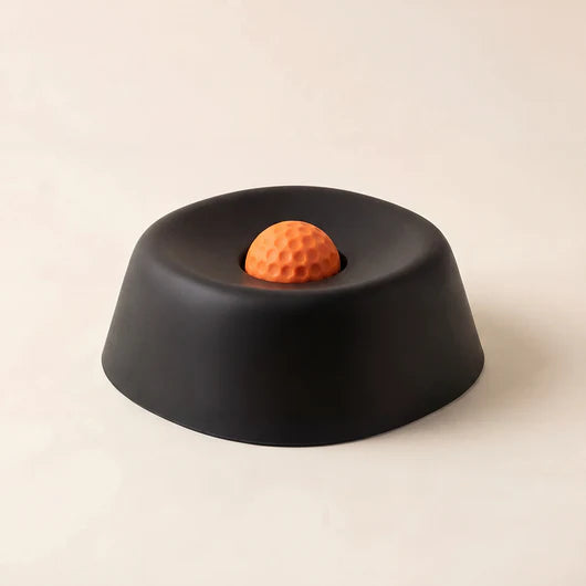 The DogWell 3-in-1 Lick & Slow Feeder Bowl