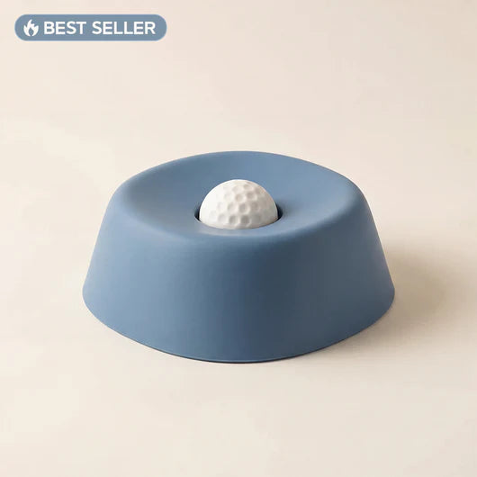 The DogWell 3-in-1 Lick & Slow Feeder Bowl