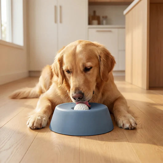The DogWell 3-in-1 Lick & Slow Feeder Bowl