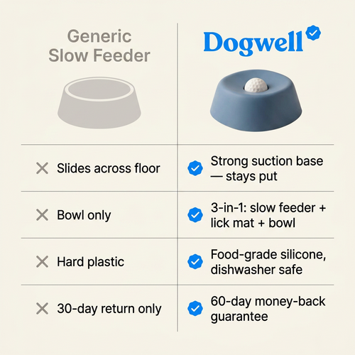 The Dogwell 3-in-1 Lick & Slow Feeder Bowl