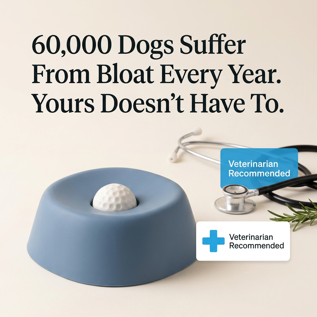 The DogWell 3-in-1 Lick & Slow Feeder Bowl