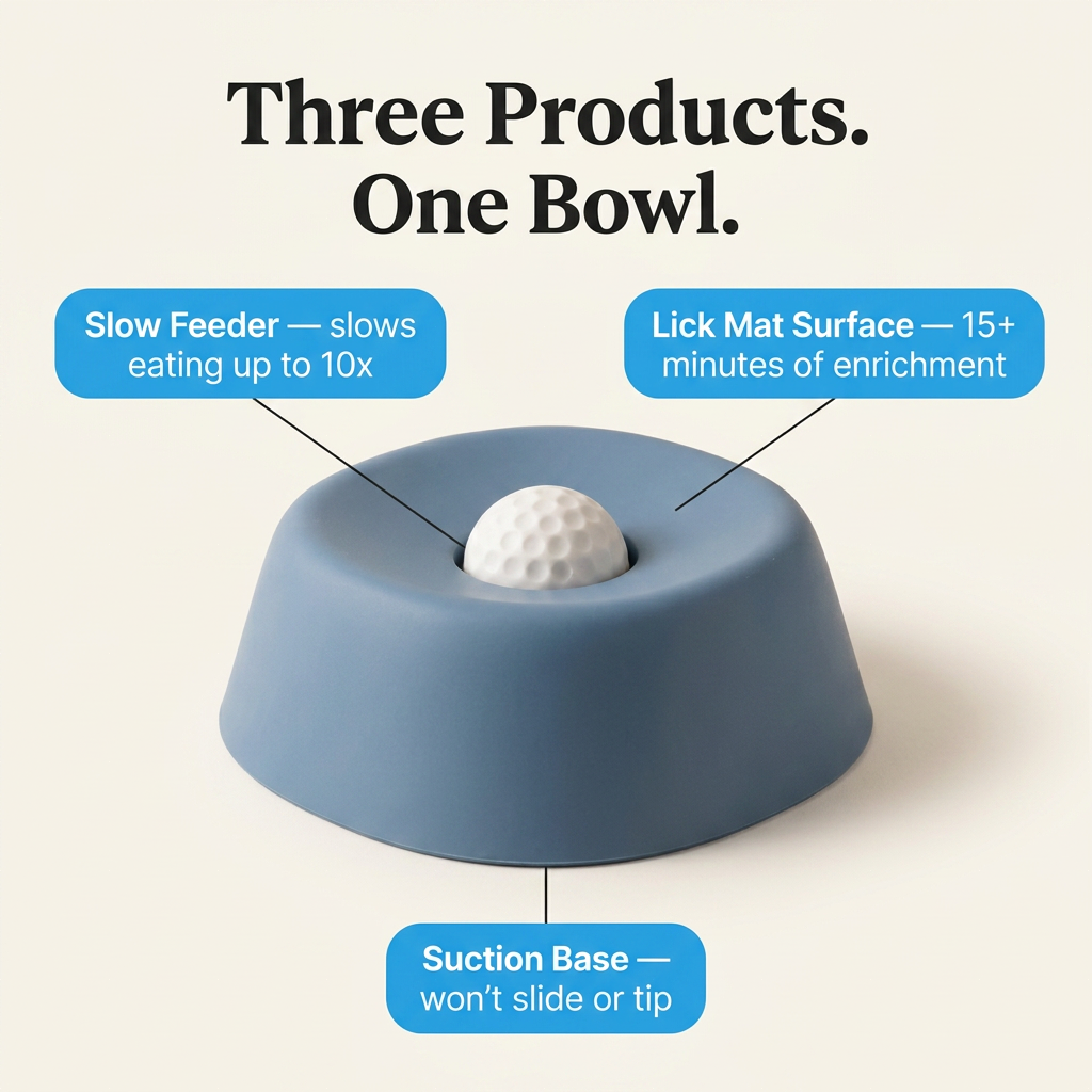 The DogWell 3-in-1 Lick & Slow Feeder Bowl