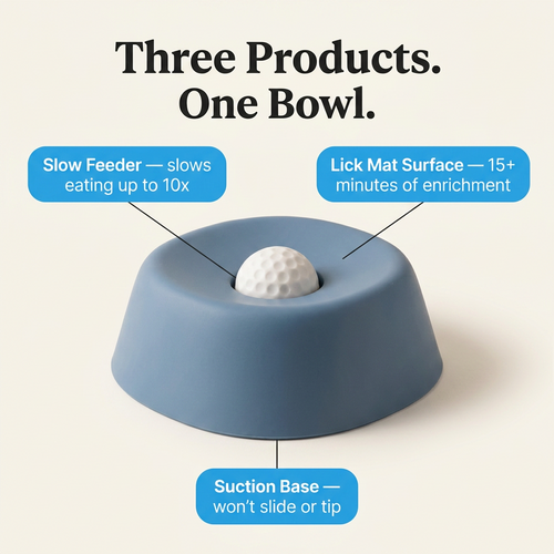 The Dogwell 3-in-1 Lick & Slow Feeder Bowl